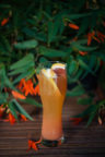 Amber_craft_brewery_piwo_rzemieslnicze_drink_russ