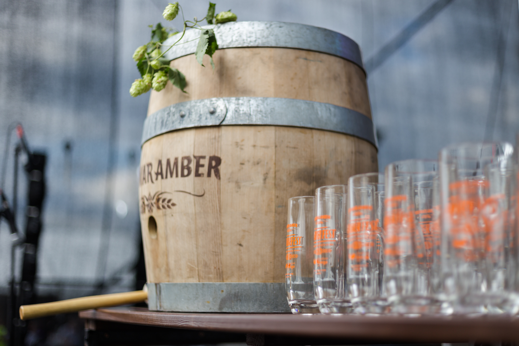 Amber Fest 2018